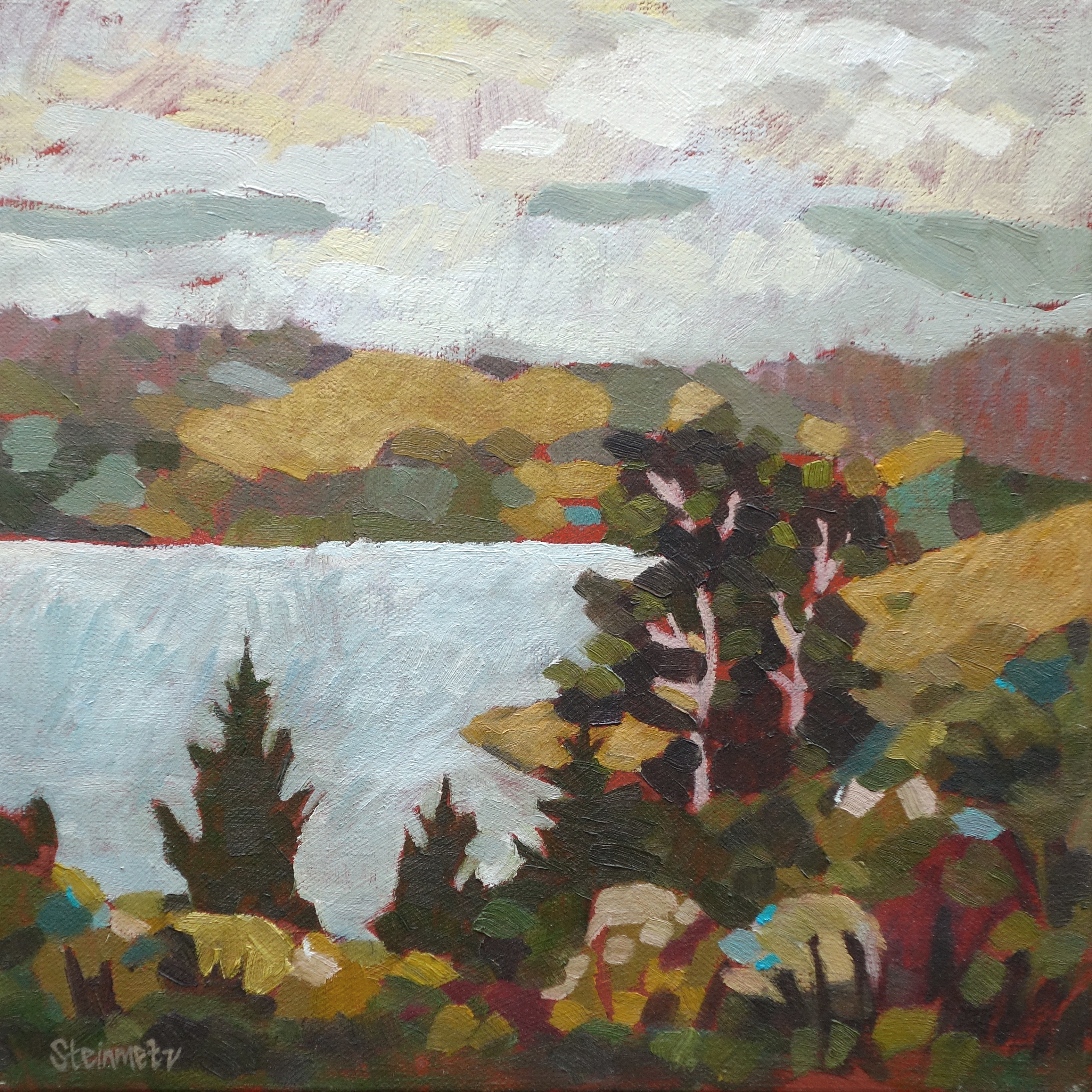 Bolinas Lagoon Comfort
