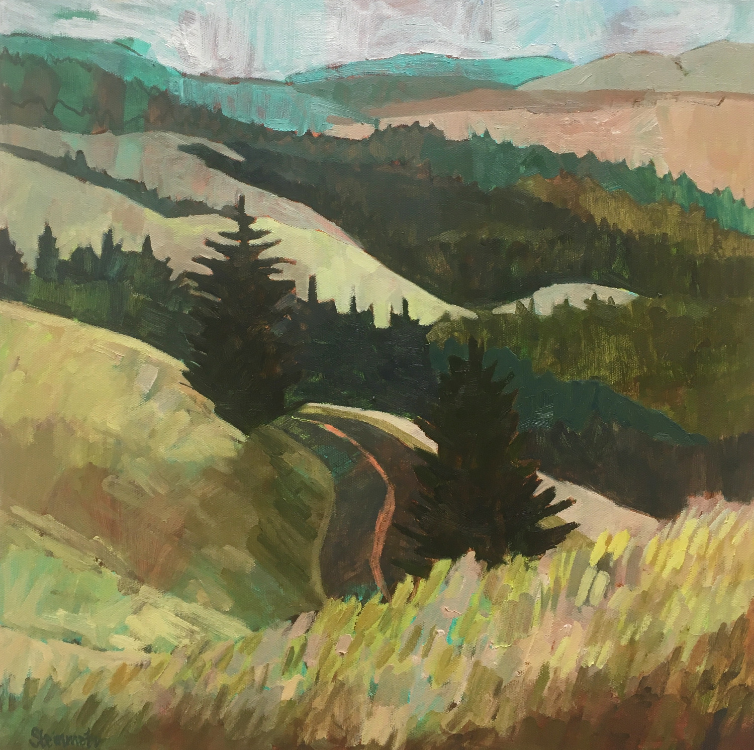 Summer Road, Mount Tamalpais