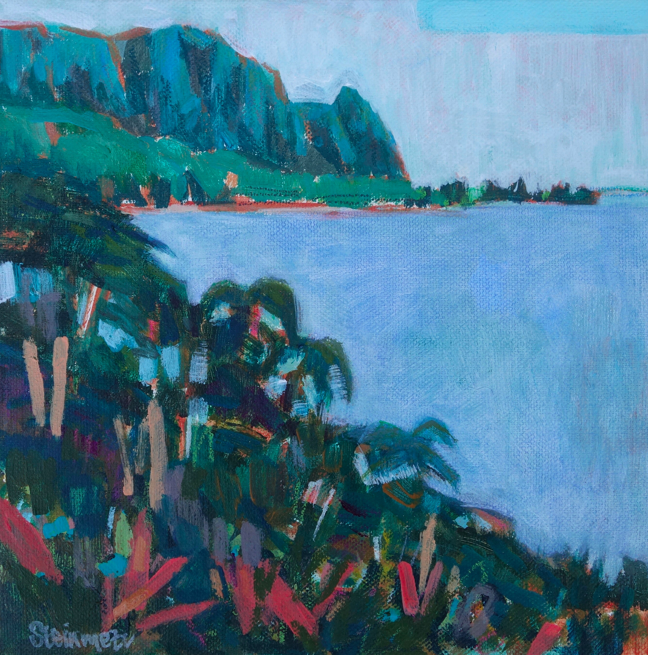 Princeville Dream