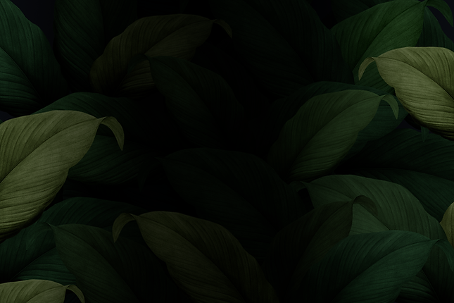 91352new.png