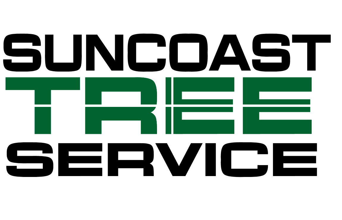 Suncoast Letter Logo.png