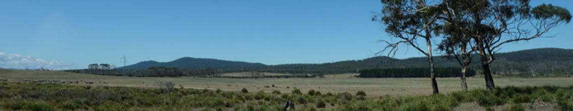 CIMITIERE PLAINS_edited.jpg