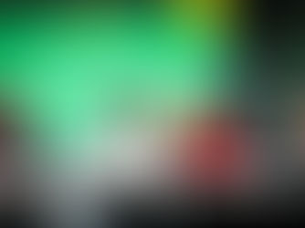 Συμπεράσματα Δημόσιου Διαλόγου: «Τα Ζώα ως Υποκείμενα Δικαίου στο Σύνταγμα και Αστικό Κώδικα»