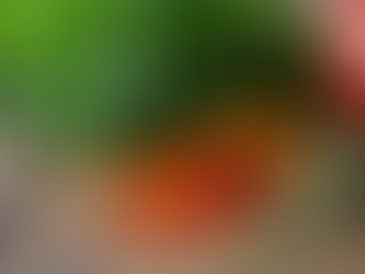 סודות לאוכל ביתי בצפון – טעמים שמרגישים כמו חיבוק מהבית