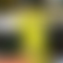 El presente de Nahitan Nández
