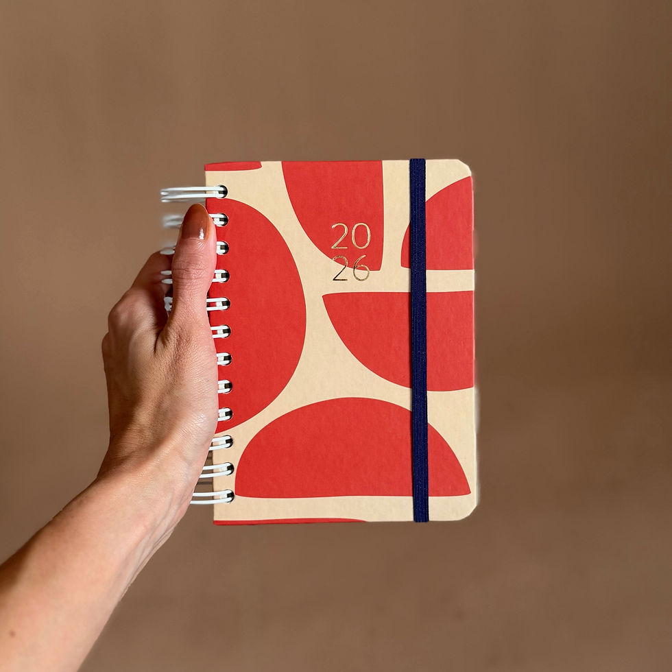 Mini Planner Diário // Curvas