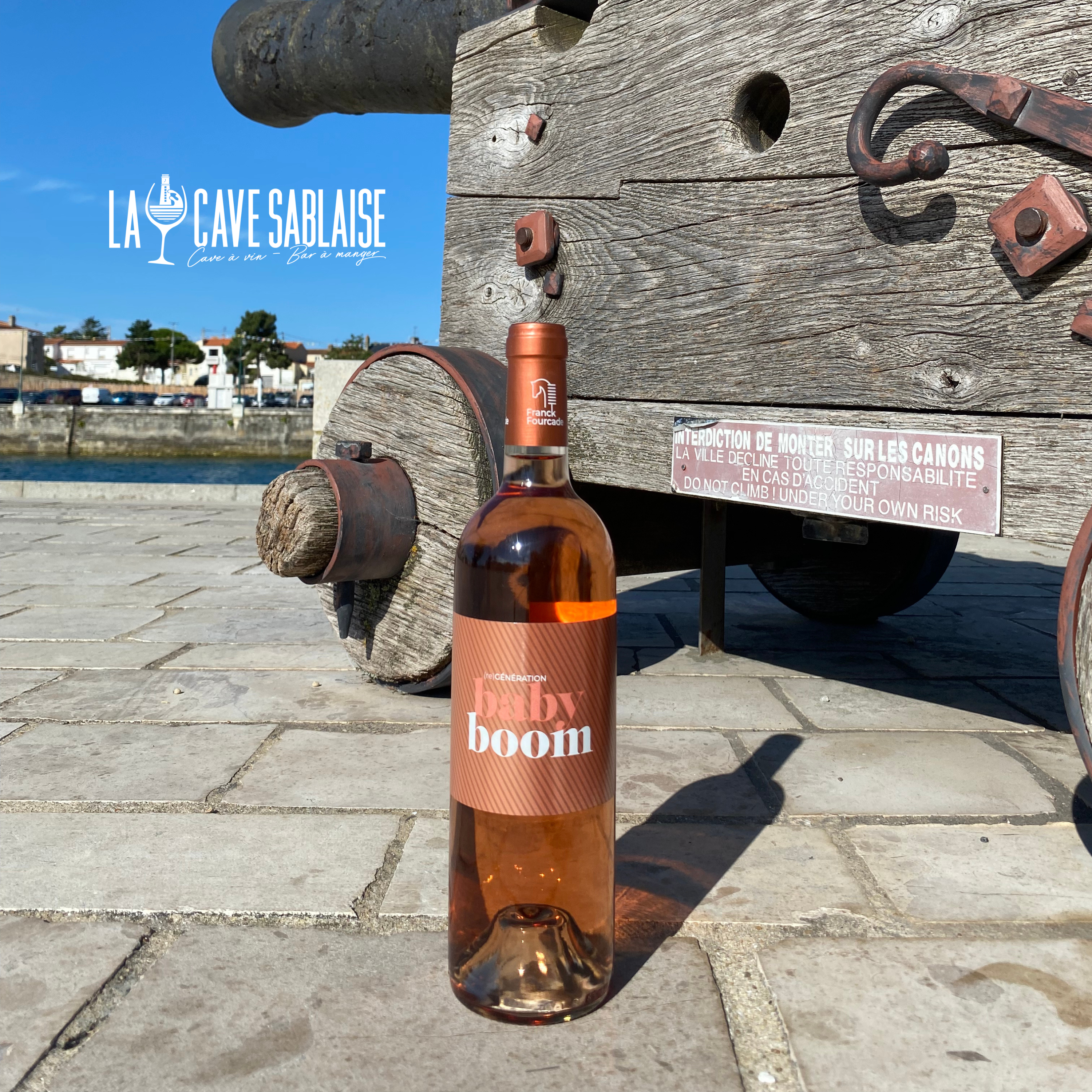 VIN DE FRANCE - DOMAINE FRANCK FOURCADE - GENERATION BABY BOOM