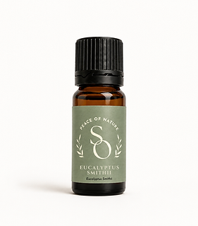 Organic Eucalyptus Smithii Essential Oil 10ml