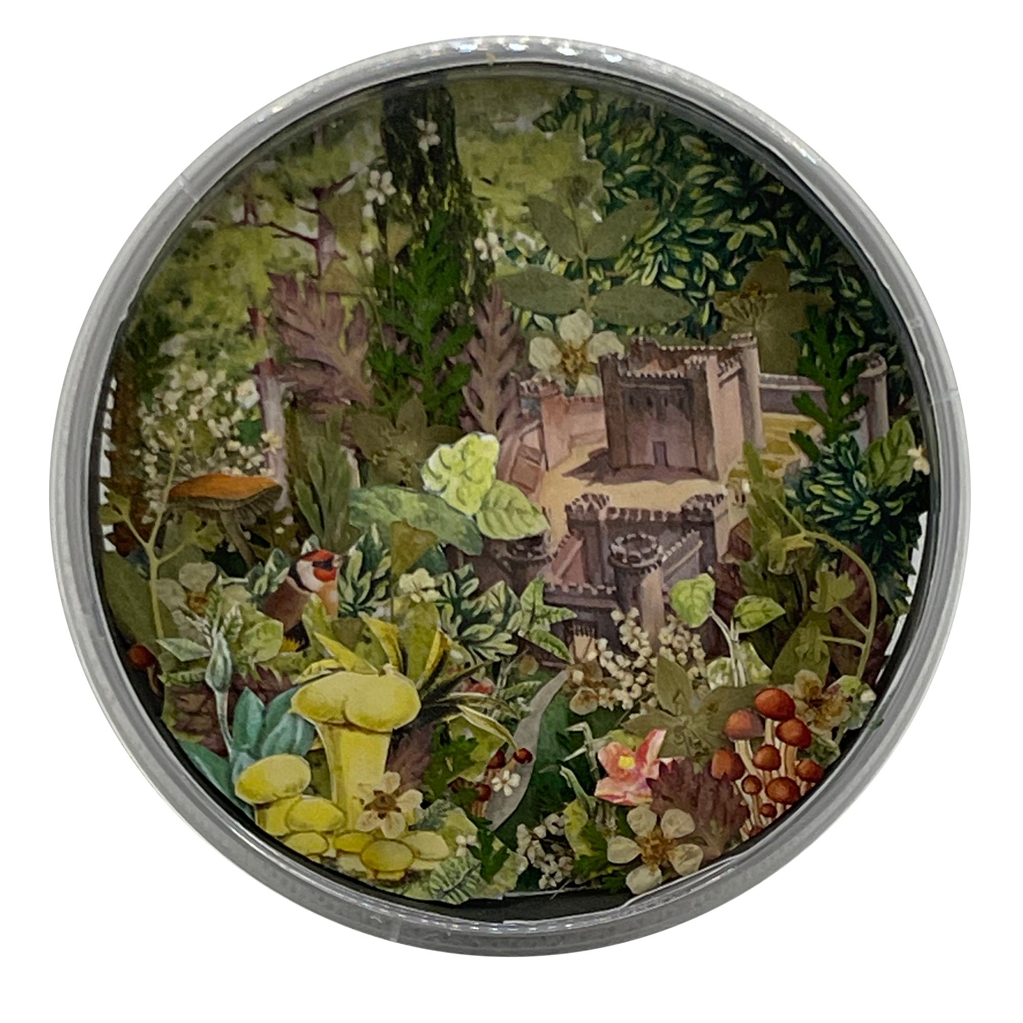 A Fortress in the Forest by Nicole Bishop
