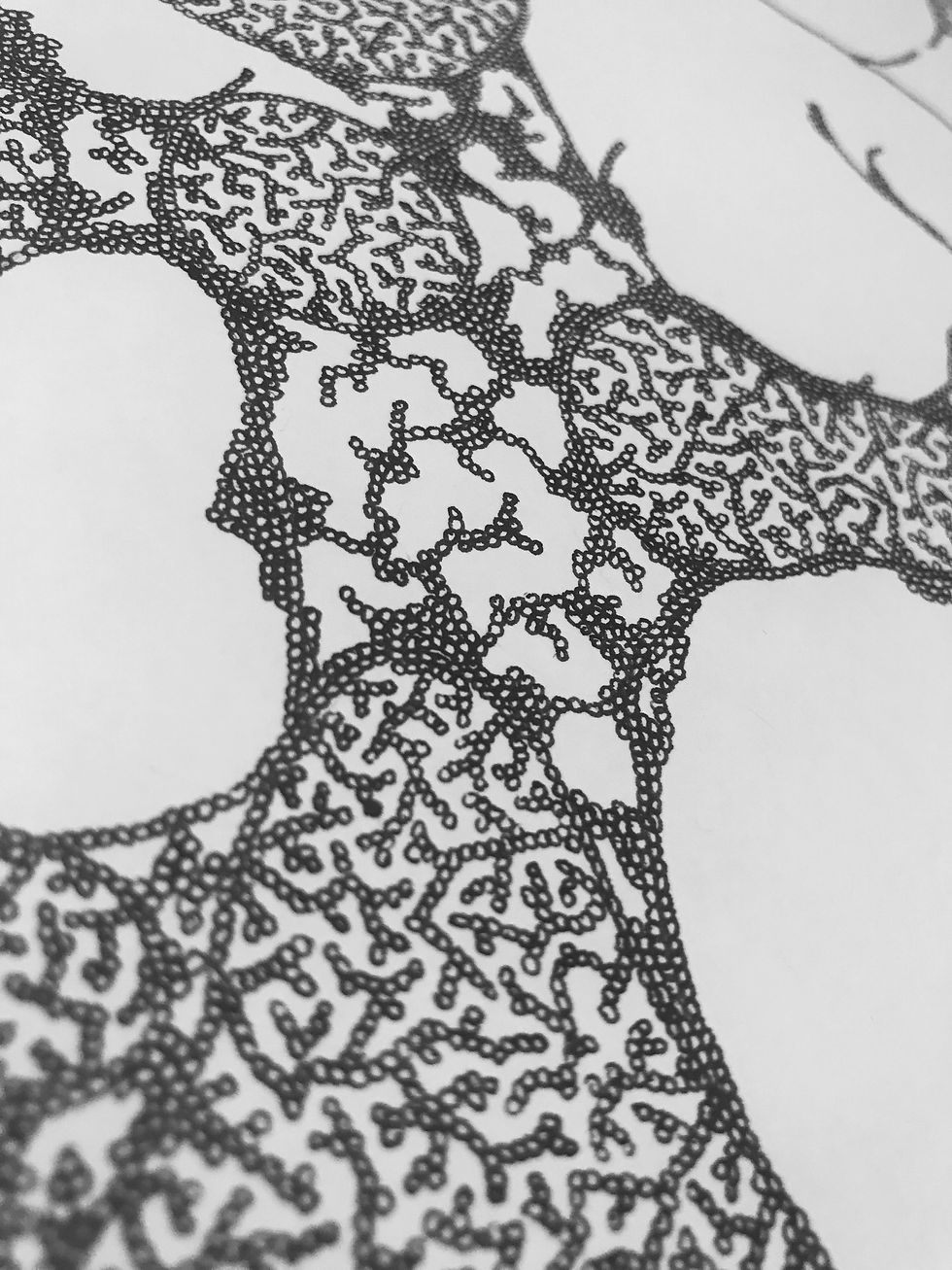 Thumbnail: Cellular Print 2