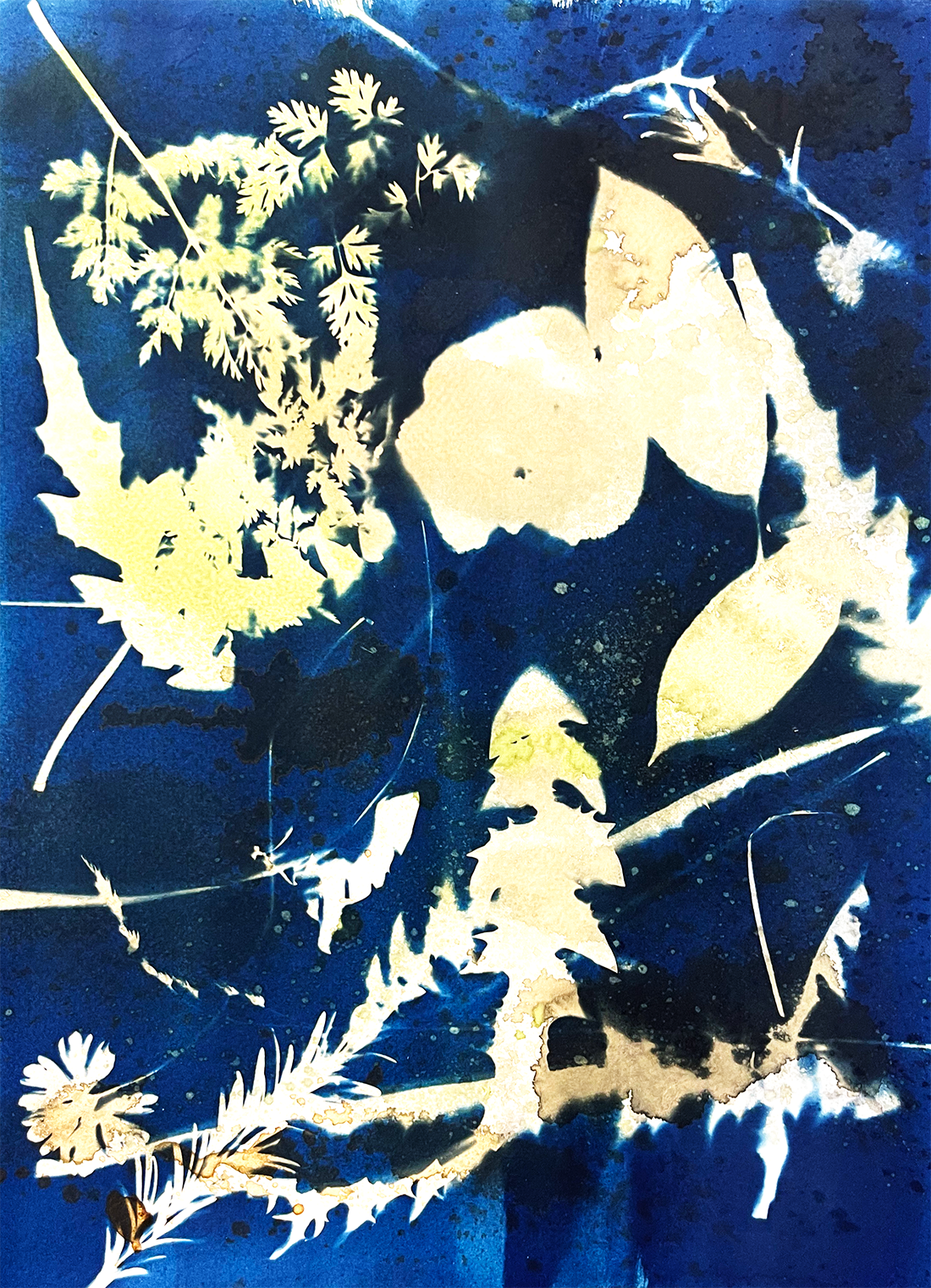 Untitled by Claire-Louise Pitman