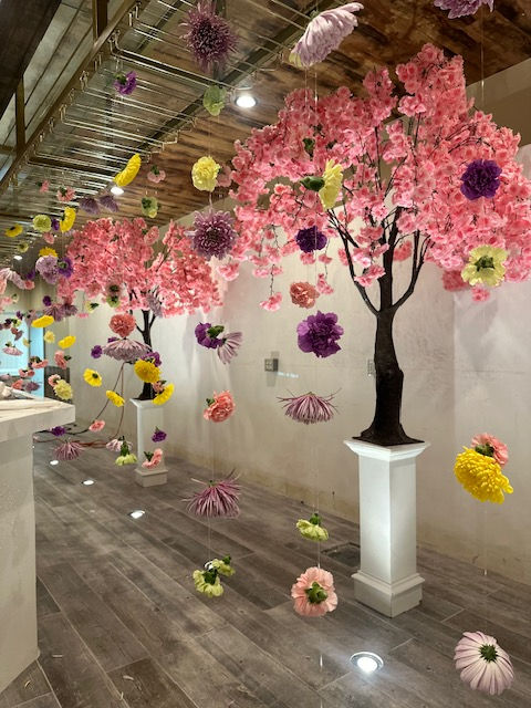 Thumbnail: 5ft Weeping Cherry Blossom Tree