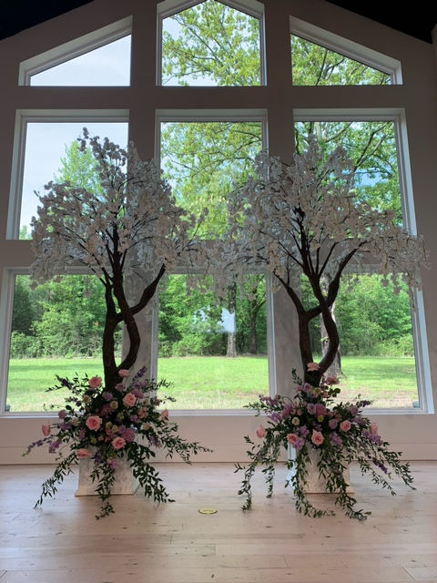 Thumbnail: 10ft Weeping Cherry Blossom Tree