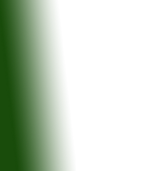 Principale.png