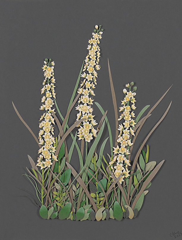 Harms_Mountain Death Camas.jpg