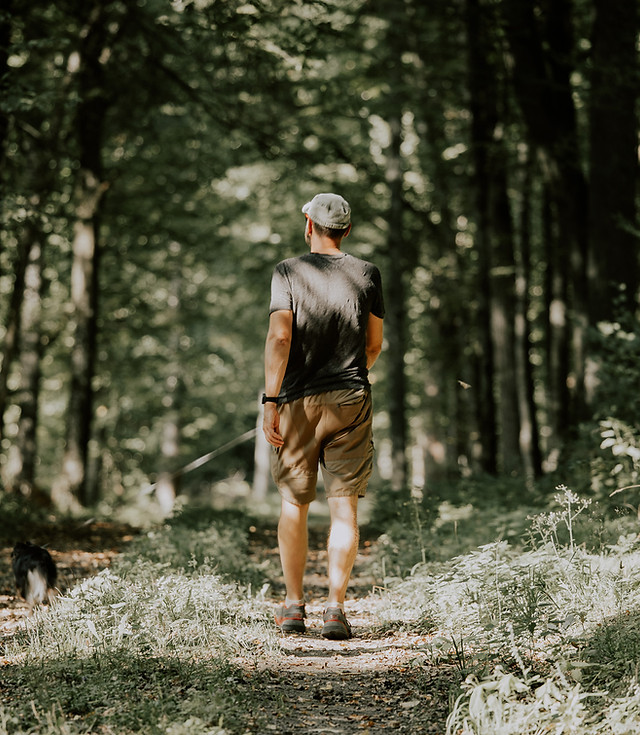 Walking the dog in the wilderness