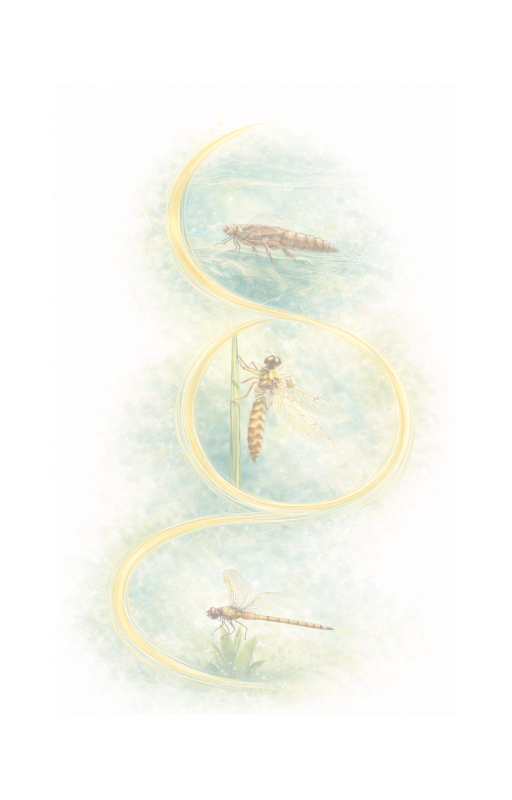 Logo for DA welcome page (1).png