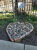20200418_104014.jpg