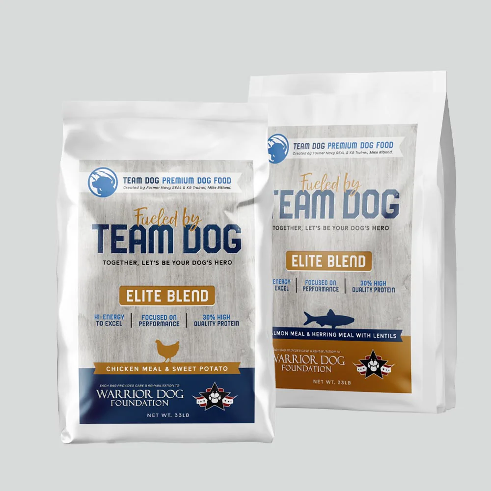 team dog.webp