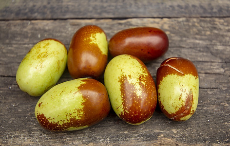 Jojoba
