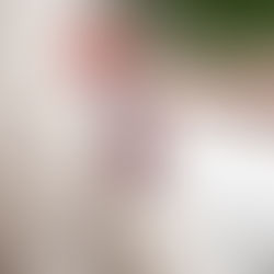 Skin, Coat, Mane and Tail - Reflection of a horse's health