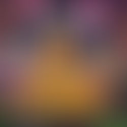 El otro marcador del futbol femenil