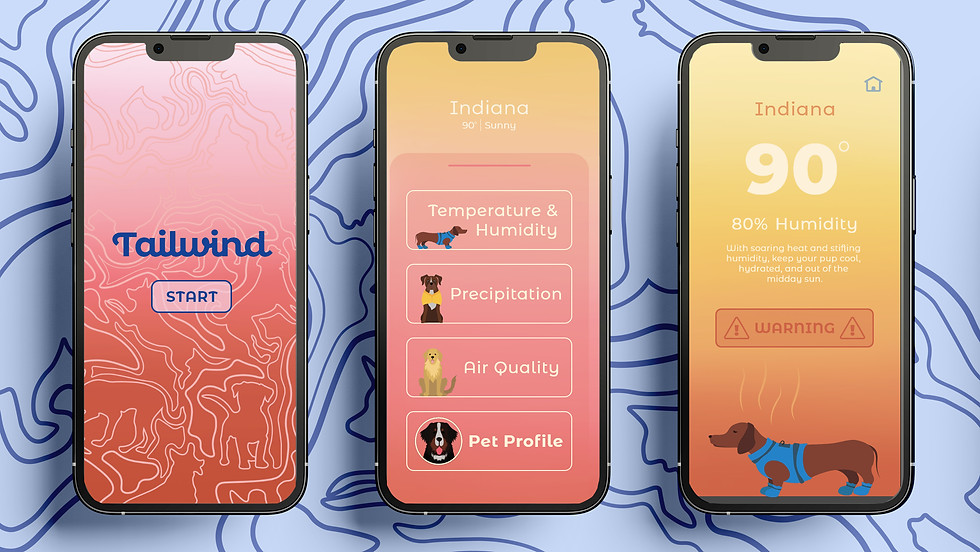 weather ap mockup 2.jpg