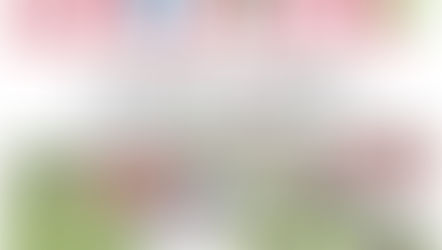 La chasse est ouverte !