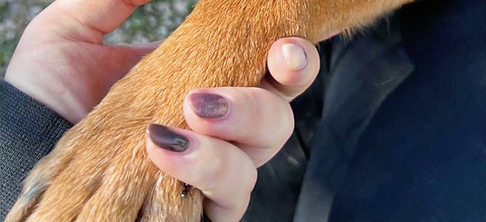 WhatsApp Image 2025-10-23 at 19.15_edited.jpg