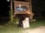 Bear Baiting MN