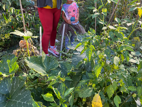 September/October 2025 Happenings