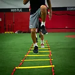 Speedladder_720x.webp