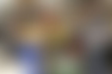 Get the Garage in Gear