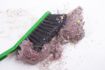 Spring Cleaning: Indoor Allergens