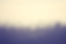 Misty Forest Scene