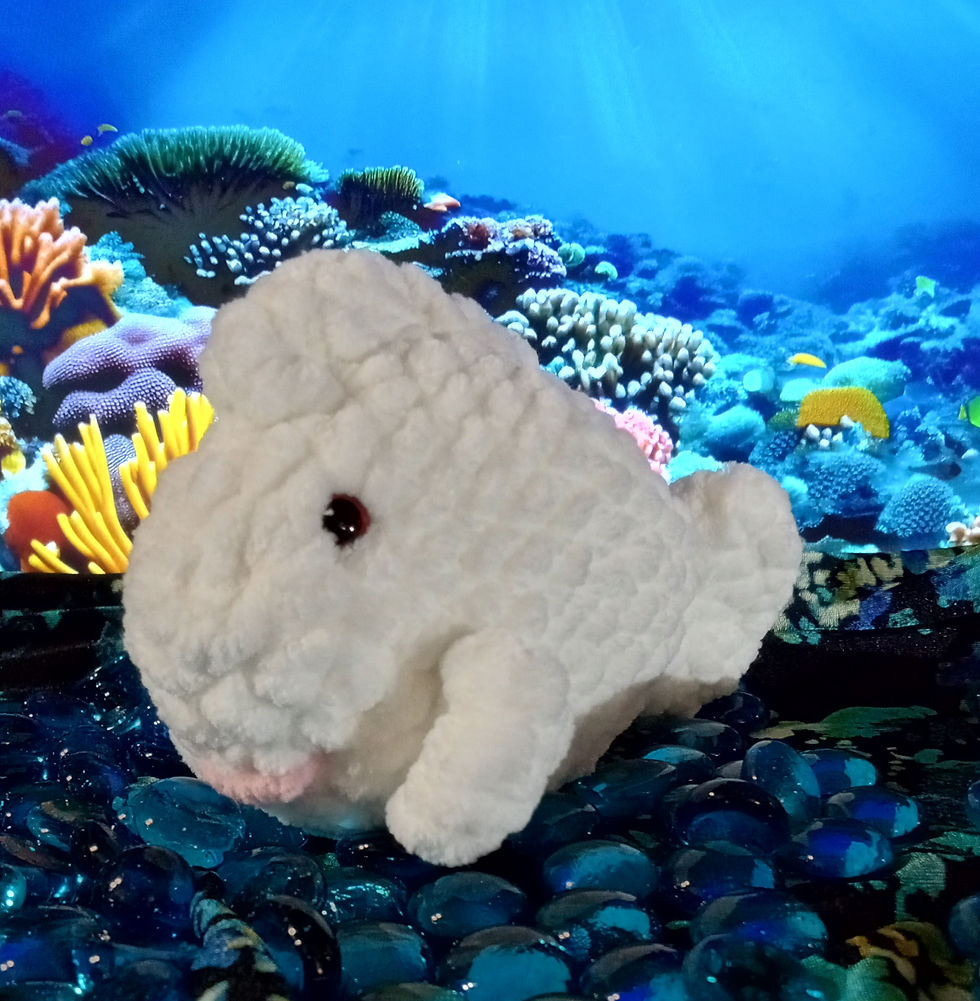 Thumbnail: Bubbles the Fish