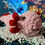 Thumbnail: Axolotl