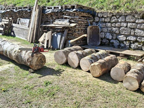 Altholz aufarbeiten + Brennholz machen