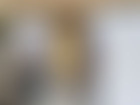 Herstellung, Lieferung + Montage Türe Getrieberaum