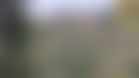 Beeindruckende "Leistungsbilanz" der IGM und des Erhaltungsvereines Bergsäge