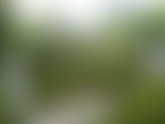 Spektakuläre "Rosas Wasserfälle"