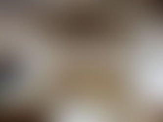 Innenausbau Schauraum