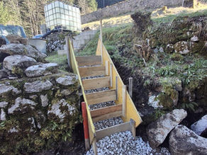 Treppe schalen