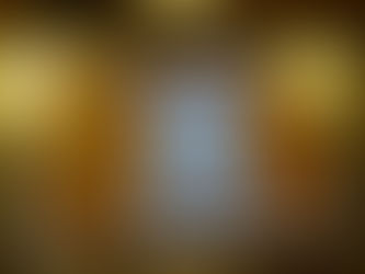 1. Generalversammlung Verein "Weg des Salzes"