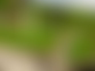 Arbeitseinsatz Schaustelle M.Theresiastollen