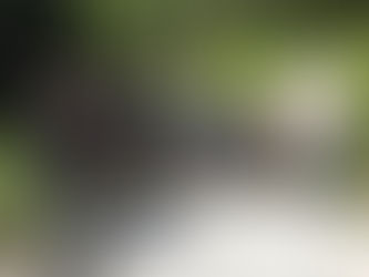 Haflingerfreunde auf der Via Salis unterwegs