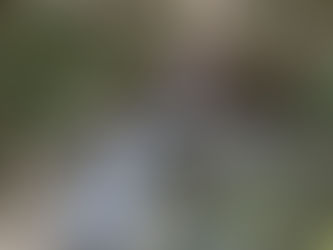 Sägefluter + Sandfilter im Sulzbach freilegen