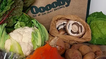Food  and Food Waste - whole new section added to this website