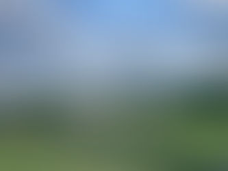 予約ありがとうございます