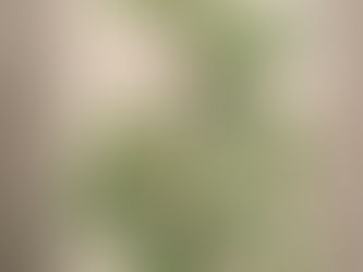 蓑島えみさん個展